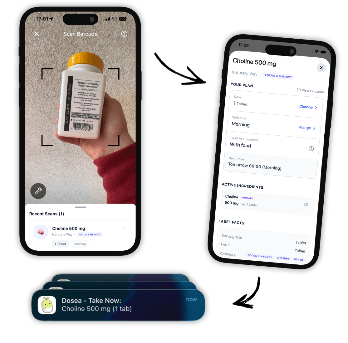 Dosea daily supplement plan